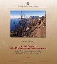 Incendi boschivi nella Penisola sorrentino-amalfitana. Analisi di un fenomeno antropogenico con speciale riferimento agli eventi del 2017 - Librerie.coop