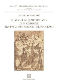 Il modello semplificato di cognizione tra principi e regole del processo - Librerie.coop