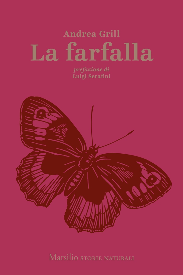 La farfalla - Librerie.coop La farfalla - Librerie.coop