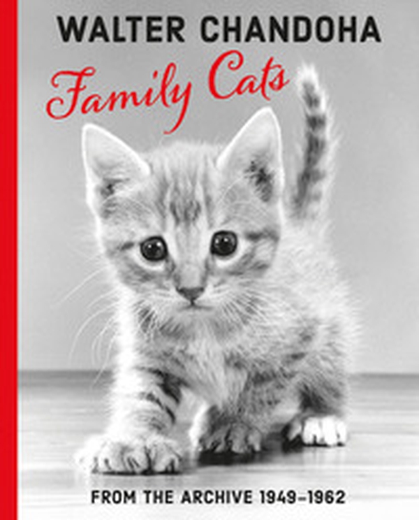Family cats. From the archive 1949-1962 - Librerie.coop
