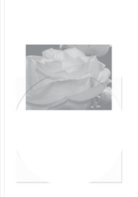 Word is round - Librerie.coop