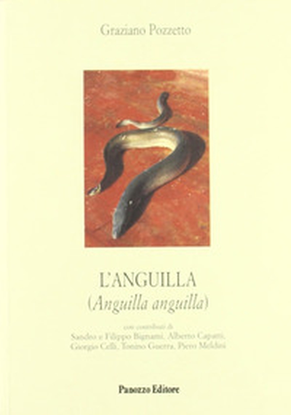 L'anguilla - Librerie.coop L'anguilla - Librerie.coop