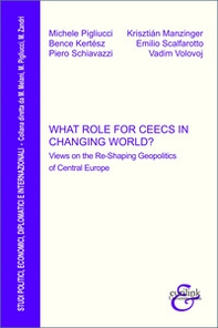 What role for CEECs in changing world? Views on the re-shaping geopolitics of Central Europe - Librerie.coop What role for CEECs in changing world? Views on the re-shaping geopolitics of Central Europe - Librerie.coop