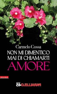 Non mi dimentico mai di chiamarti amore - Librerie.coop