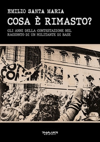 Cosa è rimasto? Gli anni della contestazione nel racconto di un militante di base - Librerie.coop