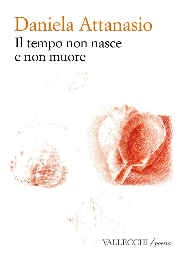 Il tempo non nasce e non muore - Librerie.coop