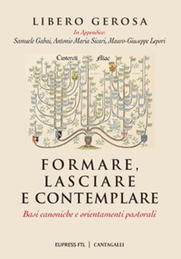 Formare, lasciare e contemplare. Basi canoniche e orientamenti pastorali - Librerie.coop Formare, lasciare e contemplare. Basi canoniche e orientamenti pastorali - Librerie.coop