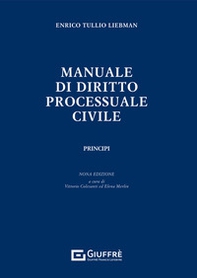 Manuale di diritto processuale civile. Principi - Librerie.coop