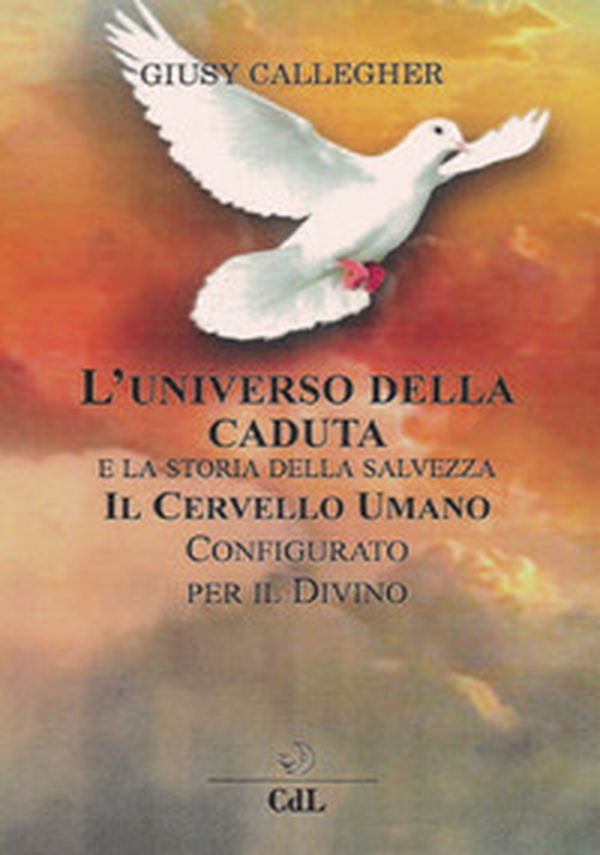 L'universo della caduta e la storia della salvezza. Il cervello umano configurato per il divino - Librerie.coop L'universo della caduta e la storia della salvezza. Il cervello umano configurato per il divino - Librerie.coop