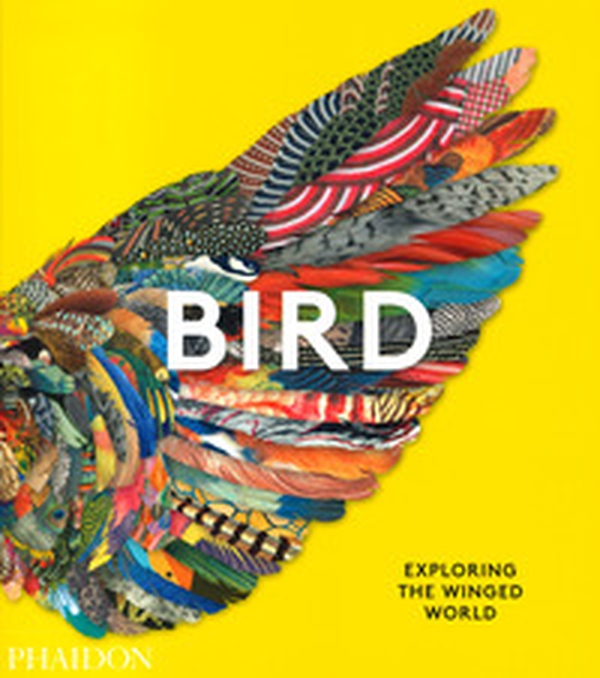 Bird - Librerie.coop Bird - Librerie.coop