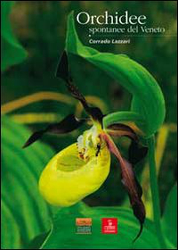 Orchidee spontanee del Veneto - Librerie.coop Orchidee spontanee del Veneto - Librerie.coop