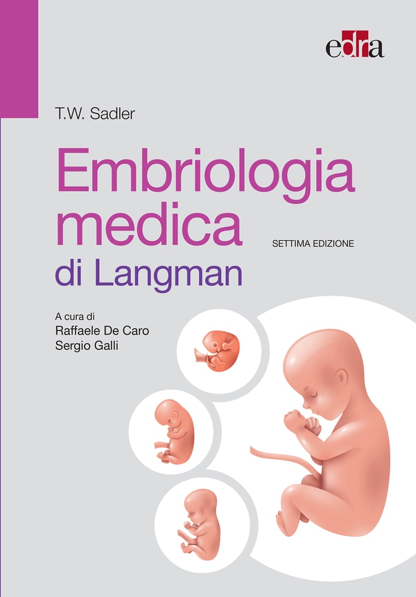 Embriologia medica di Langman 7 ed - Librerie.coop Embriologia medica di Langman 7 ed - Librerie.coop