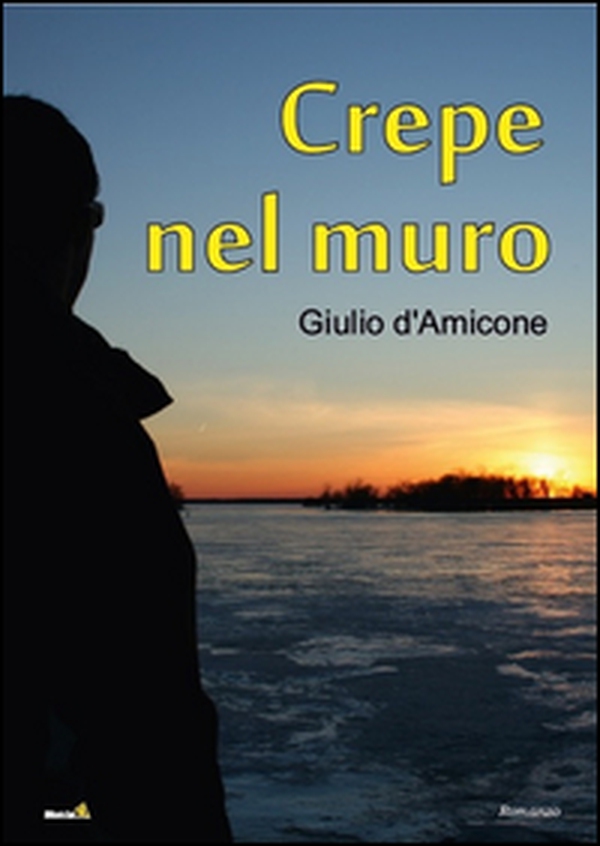 Crepe nel muro - Librerie.coop