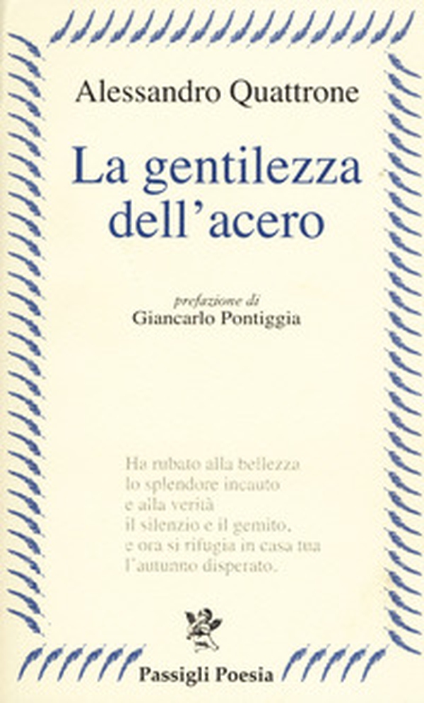 La gentilezza dell'acero - Librerie.coop La gentilezza dell'acero - Librerie.coop