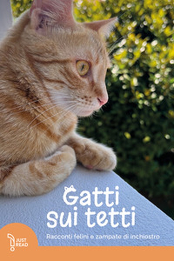 Gatti sui tetti. Racconti felini e zampate di inchiostro - Librerie.coop Gatti sui tetti. Racconti felini e zampate di inchiostro - Librerie.coop