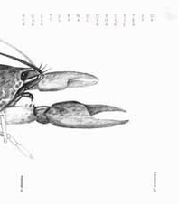 Kulturno drustvo Rak Rakek, 10. obletnica-Cultural Society Rak Rakek, 10th anniversary - Librerie.coop