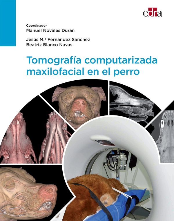Tomografía computarizada maxilofacial en el perro - Librerie.coop Tomografía computarizada maxilofacial en el perro - Librerie.coop