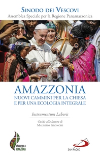 Amazzonia: nuovi cammini per la chiesa e per una ecologia integrale - Librerie.coop Amazzonia: nuovi cammini per la chiesa e per una ecologia integrale - Librerie.coop