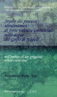Studio dei processi idrodinamici di forte valenza ambientale nelle acque del golfo di Napoli - Librerie.coop