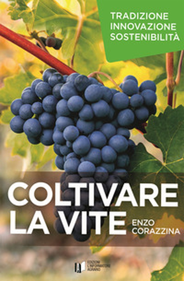 Coltivare la vite. Tradizione, innovazione, sostenibilità - Librerie.coop Coltivare la vite. Tradizione, innovazione, sostenibilità - Librerie.coop