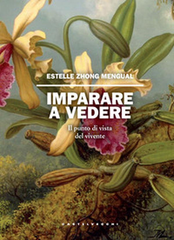Imparare a vedere. Il punto di vista del vivente - Librerie.coop Imparare a vedere. Il punto di vista del vivente - Librerie.coop