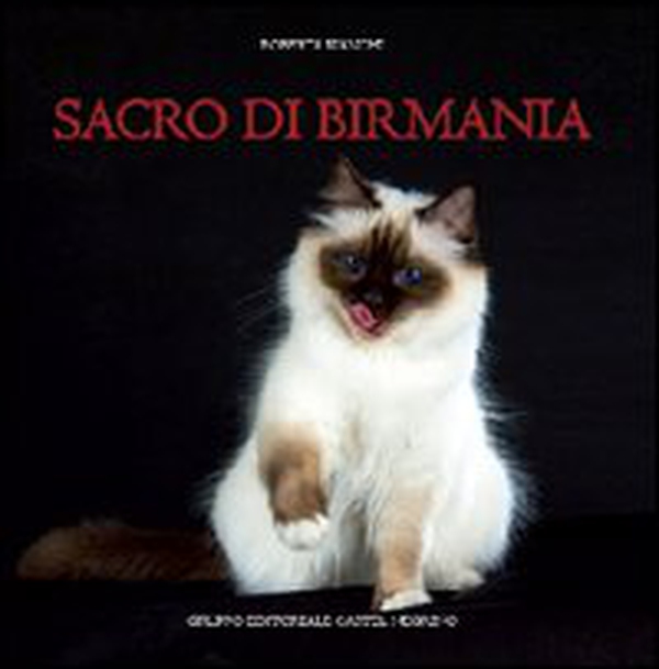 Sacro di Birmania - Librerie.coop Sacro di Birmania - Librerie.coop