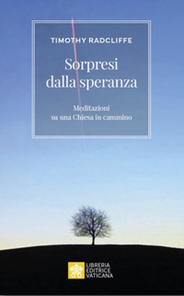 Sorpresi dalla speranza. Meditazioni su una Chiesa in cammino - Librerie.coop