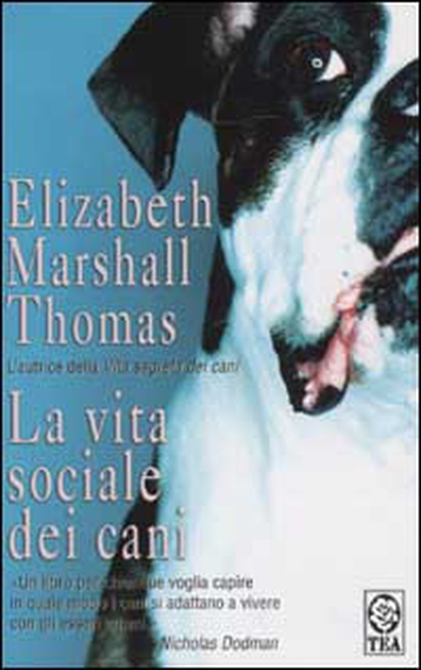 La vita sociale dei cani - Librerie.coop La vita sociale dei cani - Librerie.coop