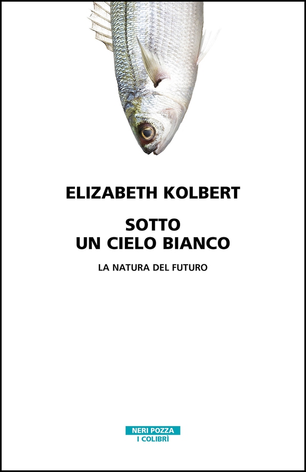 Sotto un cielo bianco - Librerie.coop Sotto un cielo bianco - Librerie.coop