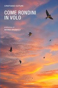 Come rondini in volo - Librerie.coop