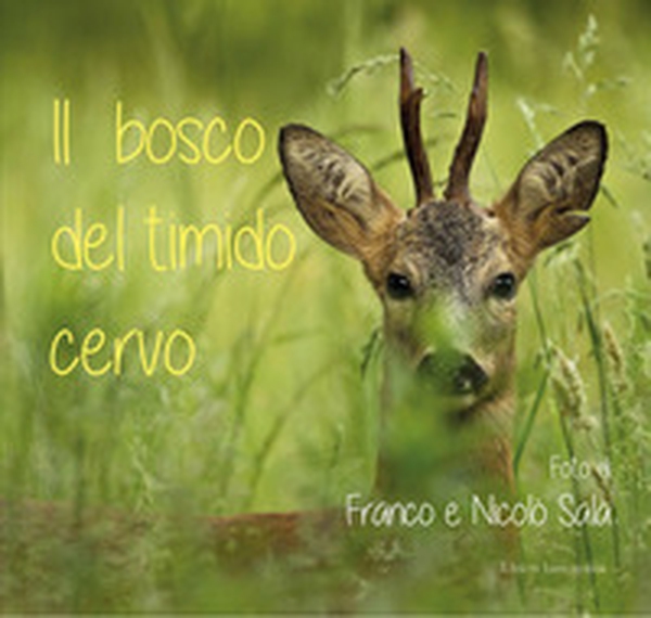 Il bosco del timido cervo - Librerie.coop