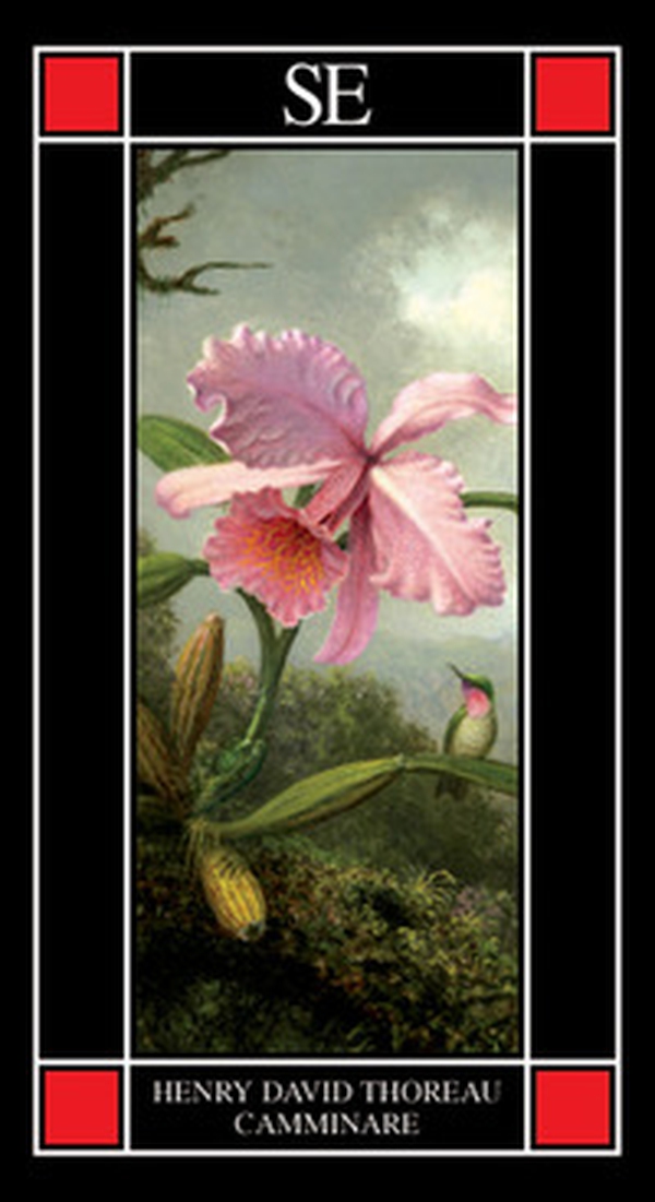 Camminare - Librerie.coop