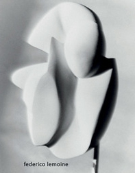 Federico Lemoine. Mise en abyme. Ediz. italiana, inglese e francese - Librerie.coop