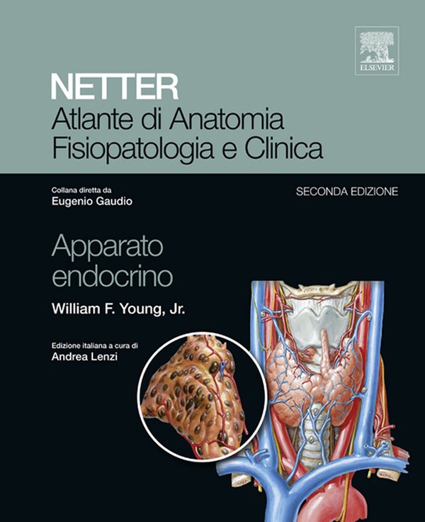 Atlante di Anatomia Fisiopatologia e Clinica: Apparato Endocrino - Librerie.coop Atlante di Anatomia Fisiopatologia e Clinica: Apparato Endocrino - Librerie.coop