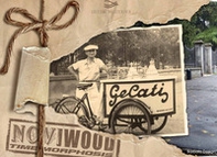 Noviwood time morphosis. Un viaggio nel tempo - Librerie.coop