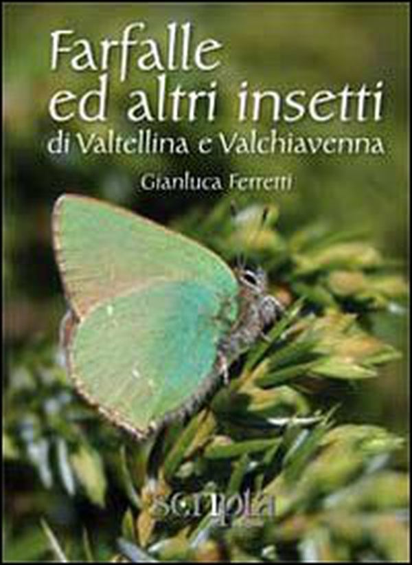 Farfalle e altri insetti di Valtellina e Valchiavenna - Librerie.coop