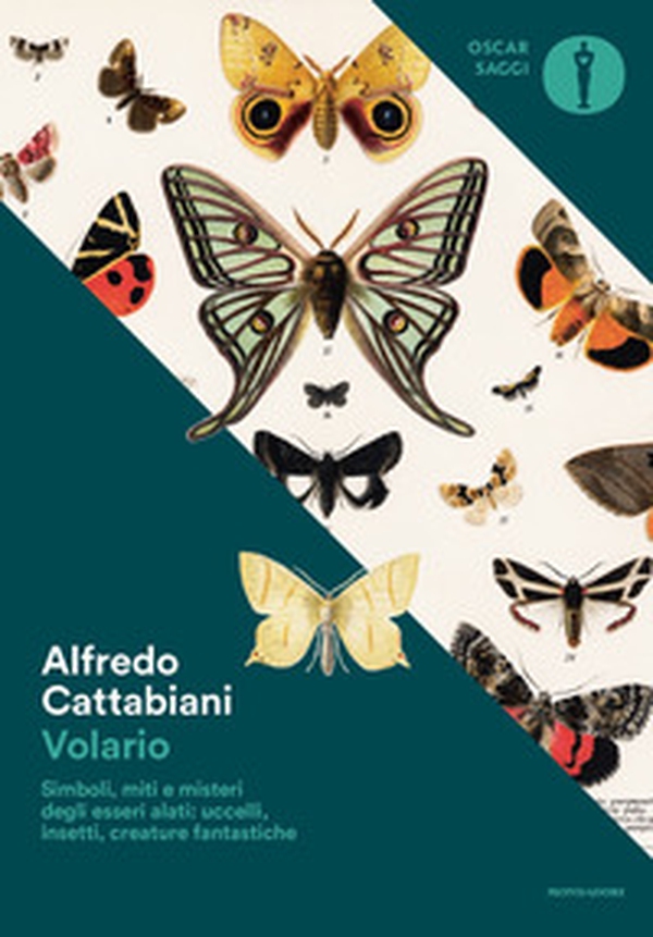 Volario. Simboli, miti e misteri degli esseri alati: uccelli, insetti, creature fantastiche - Librerie.coop Volario. Simboli, miti e misteri degli esseri alati: uccelli, insetti, creature fantastiche - Librerie.coop
