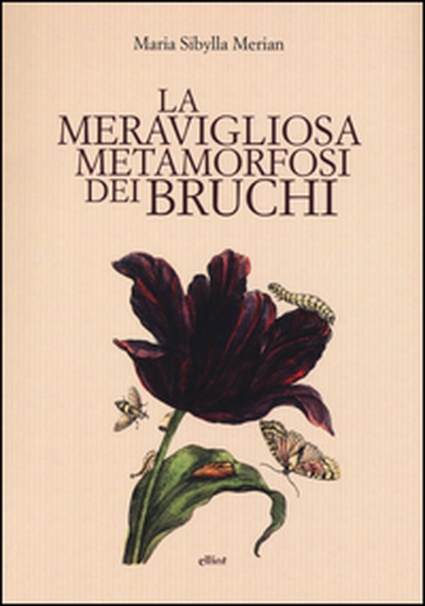 La meravigliosa metamorfosi dei bruchi - Librerie.coop La meravigliosa metamorfosi dei bruchi - Librerie.coop