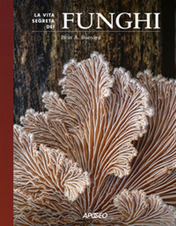 La vita segreta dei funghi - Librerie.coop La vita segreta dei funghi - Librerie.coop