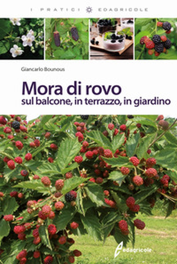 Mora di rovo sul balcone, in terrazzo, in giardino - Librerie.coop Mora di rovo sul balcone, in terrazzo, in giardino - Librerie.coop