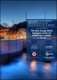 The new energy world. Strategies of the 42 gas&power leaders in Europe - Librerie.coop The new energy world. Strategies of the 42 gas&power leaders in Europe - Librerie.coop