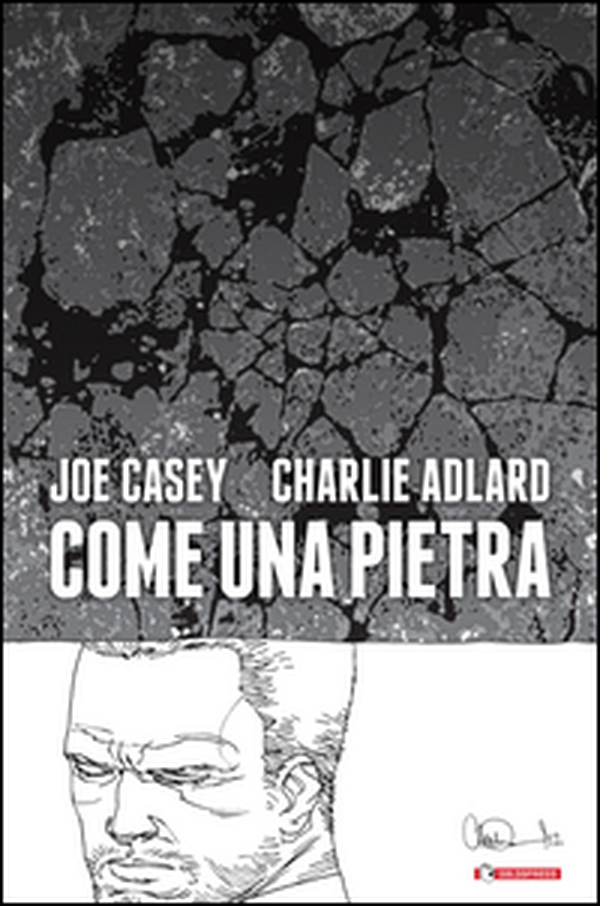 Come una pietra - Librerie.coop Come una pietra - Librerie.coop
