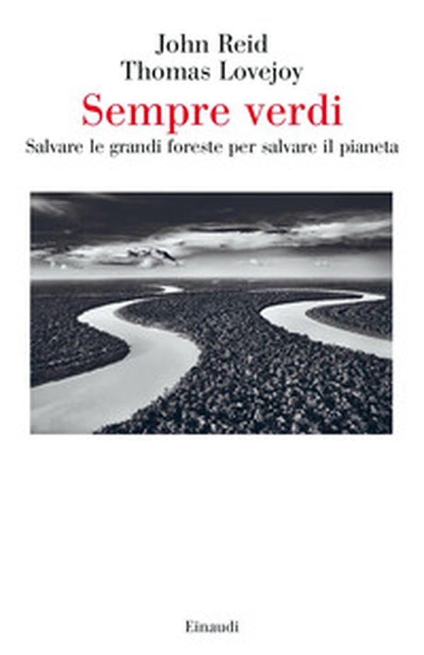 Sempre verdi. Salvare le grandi foreste per salvare il pianeta - Librerie.coop Sempre verdi. Salvare le grandi foreste per salvare il pianeta - Librerie.coop