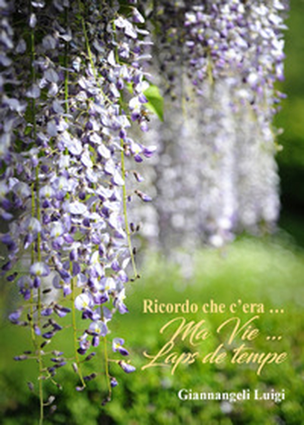 Ricordo che c'era... Ma vie... Laps de temp - Librerie.coop Ricordo che c'era... Ma vie... Laps de temp - Librerie.coop