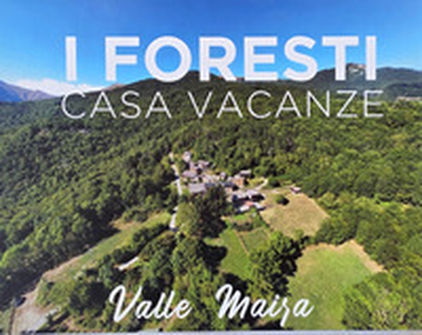 I foresti casa vacanze. Valle Maira. Ediz. italiana e inglese - Librerie.coop
