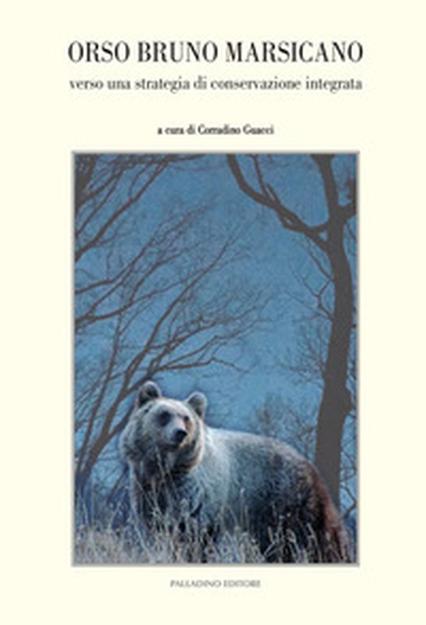 Orso bruno marsicano - Librerie.coop Orso bruno marsicano - Librerie.coop