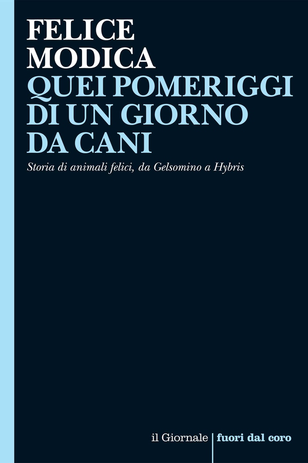 QUEI POMERIGGI DI UN GIORNO DA CANI - Librerie.coop QUEI POMERIGGI DI UN GIORNO DA CANI - Librerie.coop