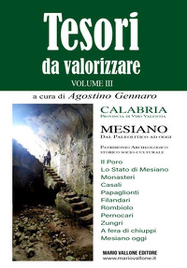 Tesori da valorizzare. Calabria, provincia di Vibo Valentia - Vol. 3 - Librerie.coop