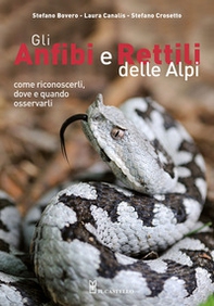 Gli anfibi e rettili delle Alpi. Come riconoscerli, dove e quando osservarli - Librerie.coop