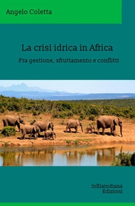 La crisi idrica in Africa. Fra gestione, sfruttamento e conflitti - Librerie.coop